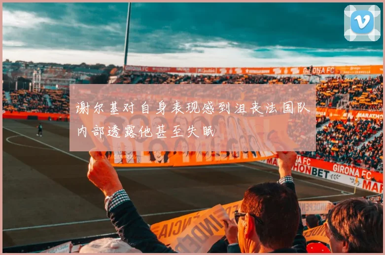 谢尔基对自身表现感到沮丧法国队内部透露他甚至失眠