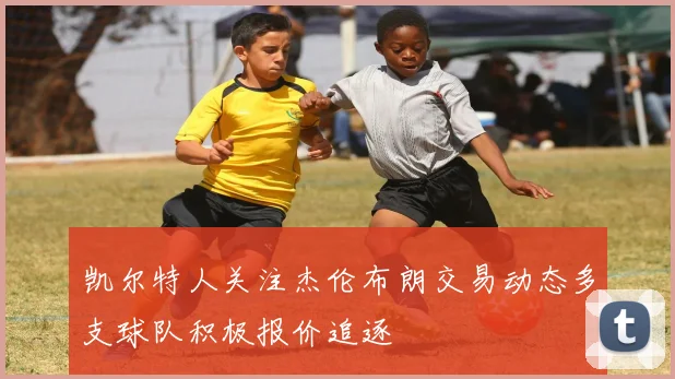 凯尔特人关注杰伦布朗交易动态多支球队积极报价追逐